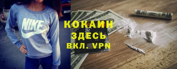 эйфоретик Арсеньев