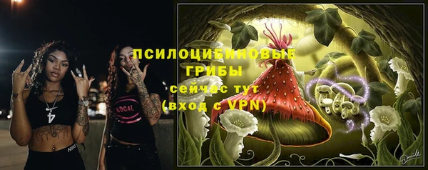 эйфоретик Арсеньев