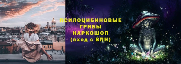 эйфоретик Арсеньев