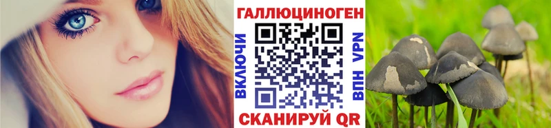 где найти   ОМГ ОМГ ССЫЛКА  Псилоцибиновые грибы мухоморы  Малоярославец 